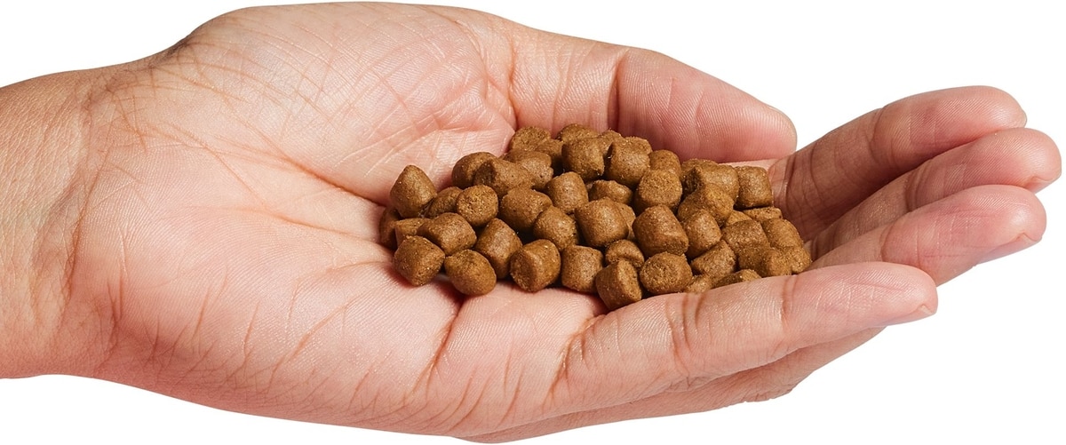 WYSONG Epigen 90 Starch-Free Formula Grain-Free Dry Dog & Cat Food