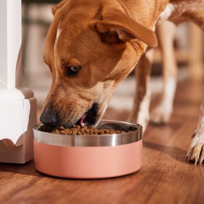 Show full view: Wysong Epigen 90 Starch-Free Formula Grain-Free Dry Dog & Cat Food, 5-lb bag slide 4 of 6