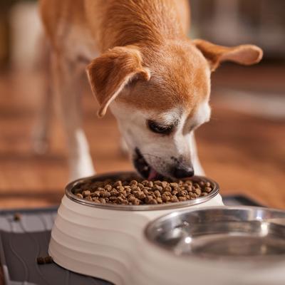 Show full view: Wysong Epigen Starch-Free Chicken Formula Grain-Free Dry Dog & Cat Food, 5-lb bag slide 4 of 6