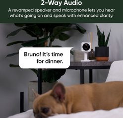 Wyze Cam OG Indoor & Outdoor Wi-Fi Pet Camera, White slide 2 of 6