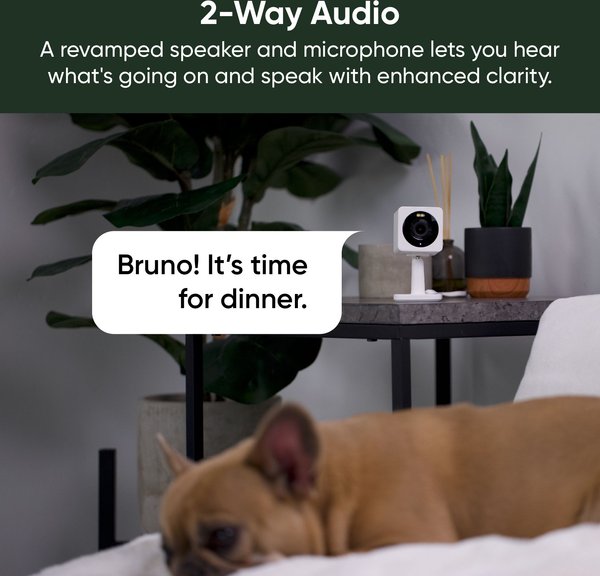 Show full view: Wyze Cam OG Indoor & Outdoor Wi-Fi Pet Camera, White slide 2 of 7
