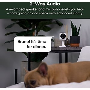 Wyze Cam OG Indoor & Outdoor Wi-Fi Pet Camera, White