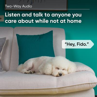 Show full view: Wyze CAM Plus Dog & Cat Camera Motion & Bark Detection 3-Month Prepaid Card slide 5 of 6