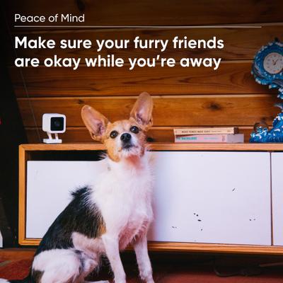 Show full view: Wyze CAM Plus Dog & Cat Camera Motion & Bark Detection 3-Month Prepaid Card slide 6 of 6