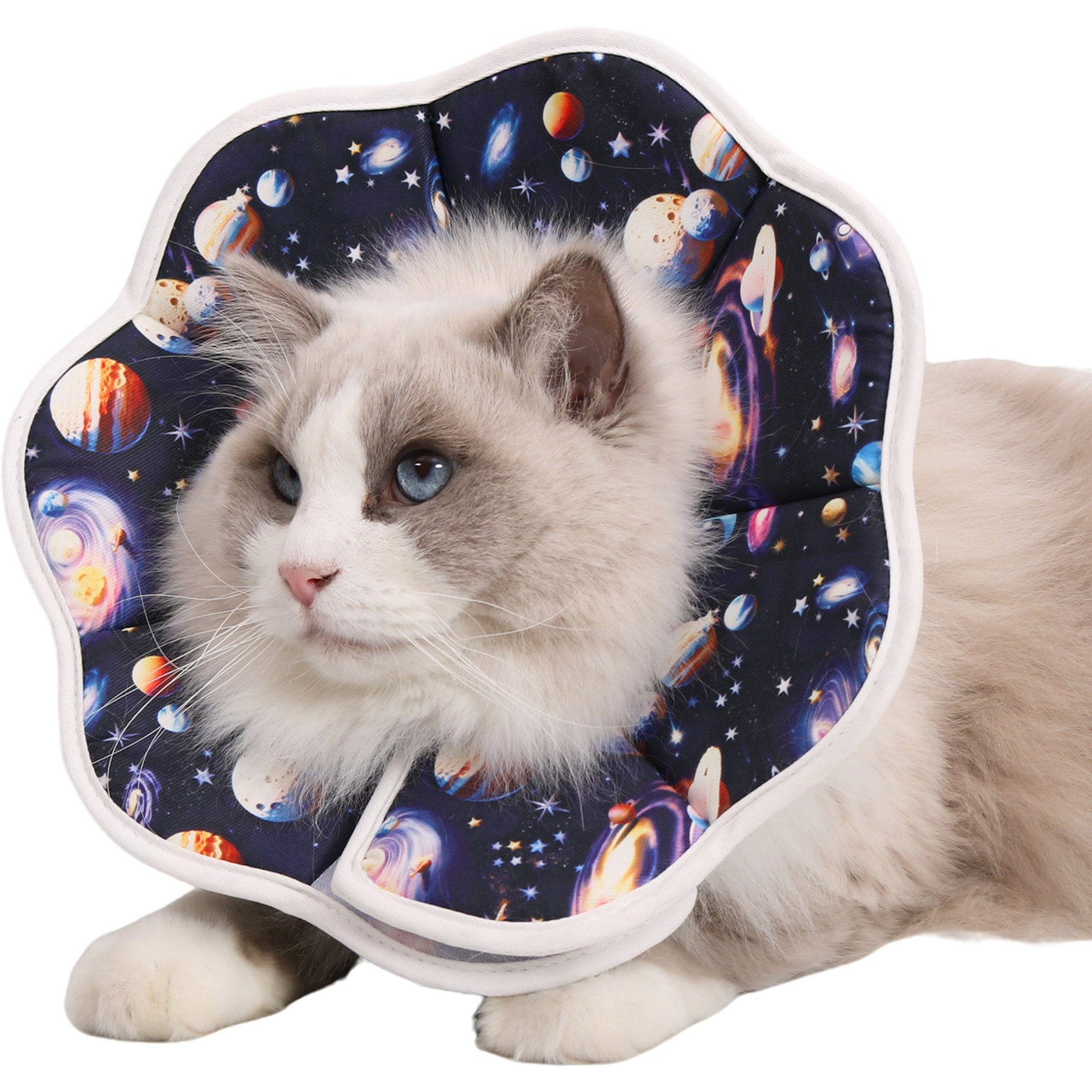 WZ PET Adjustable Waterproof Soft Cone Dog & Cat Recovery Collar, Large: 10 to 13-in neck