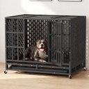 Xbrigh Ultra-Durable Vandal-Resistant Indoor Double Door Dog Crate, Black, 38-inches
