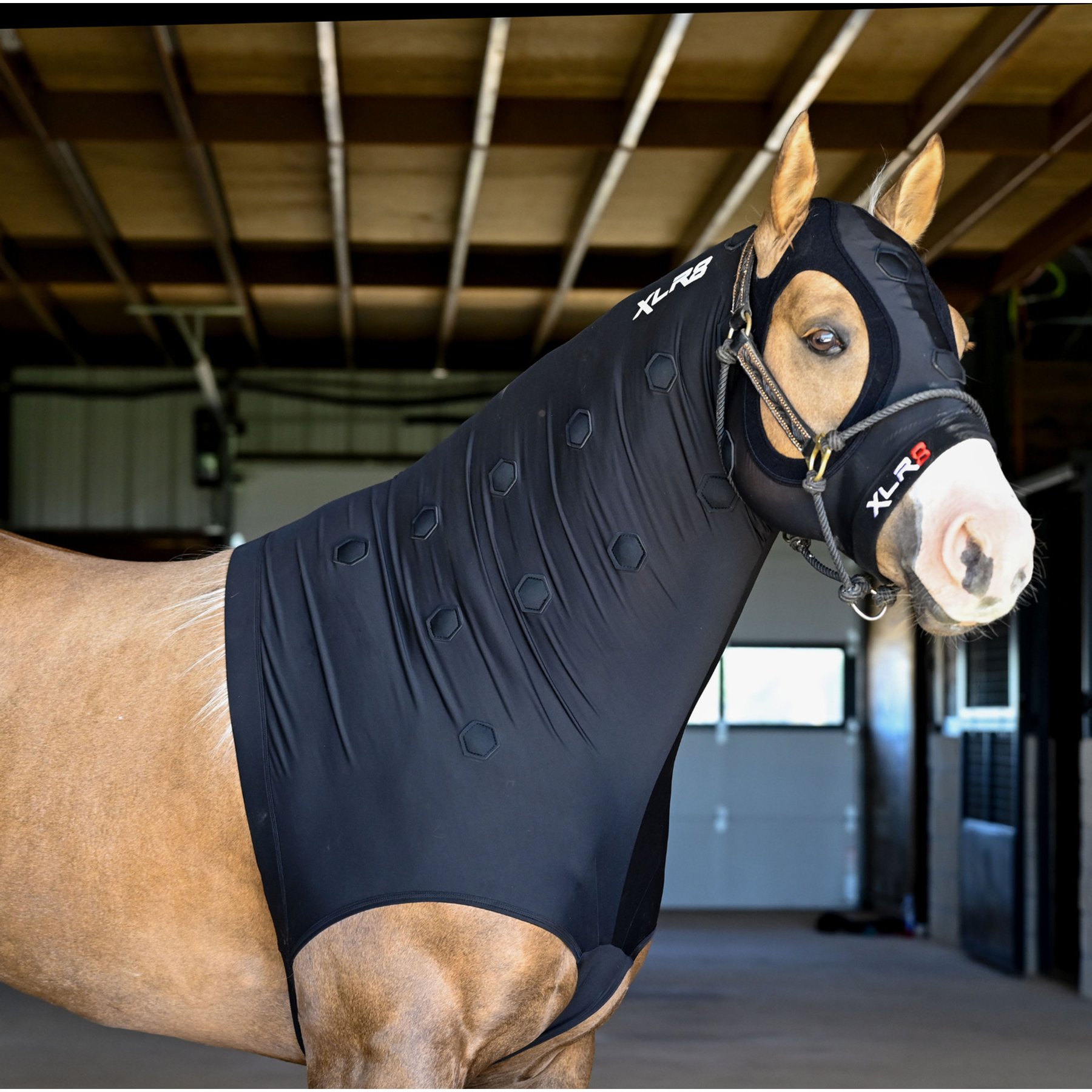 XLR8 Equine Velocity Hood Horse Wrap, Black, Small