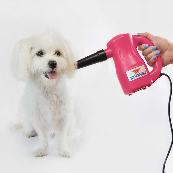 Show full view: XPOWER Airrow Pro B-53 Multipurpose Cat & Dog Dryer, Pink slide 5 of 7