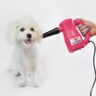Show in main carousel: XPOWER Airrow Pro B-53 Multipurpose Cat & Dog Dryer, Pink slide 5 of 7