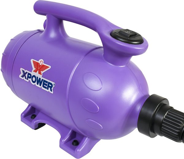 XPOWER B-2 "Pro-At-Home" Pet Dryer & Vacuum
