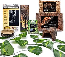 XYZReptiles Boa Constrictor Reptile Starter Kit slide 1 of 9