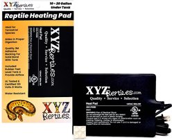 XYZReptiles Boa Constrictor Reptile Starter Kit slide 2 of 9