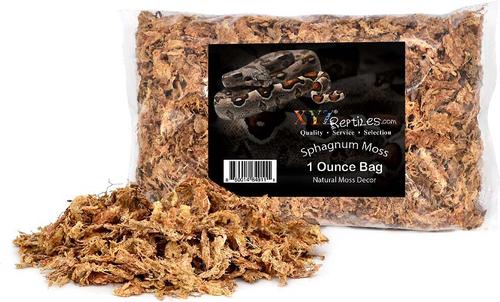 Show full view: XYZReptiles Boa Constrictor Reptile Starter Kit slide 6 of 9