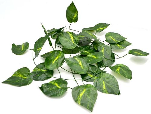 Show full view: XYZReptiles Boa Constrictor Reptile Starter Kit slide 9 of 9