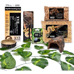 XYZREPTILES Snake Habitat Starter Kit - Chewy.com
