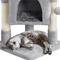 Show in main carousel: Yaheetech 2-Level 23.5-in Plush Cat Tree & Condo, Light Gray slide 8 of 11