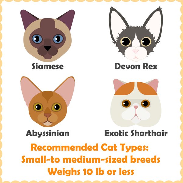 Yaheetech 34.5-in Plush Cover Cat Tree