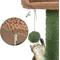 Show in main carousel: Yaheetech 54.5-in Cactus Cat Tree, Medium, Green & Brown slide 9 of 10