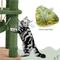 Show in main carousel: Yaheetech 62.5-in Cactus Cat Tree, Medium, Green & Brown slide 7 of 10