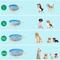 Show in main carousel: Yaheetech Foldable Pet Pool, Gray, XX-Large, 63-in slide 4 of 11
