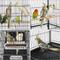 Show in main carousel: Yaheetech Large Bird Rolling Cage & Storage Shelf, Hammered Black, 52-in H slide 8 of 10