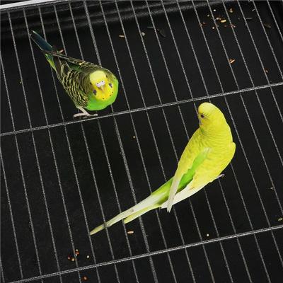 Show full view: Yaheetech Large Bird Rolling Cage & Storage Shelf, Hammered Black, 60.5-in H slide 8 of 11