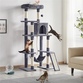 Cat Furniture: Cat Towers, Condos, Perches (Free Shipping) Chewy