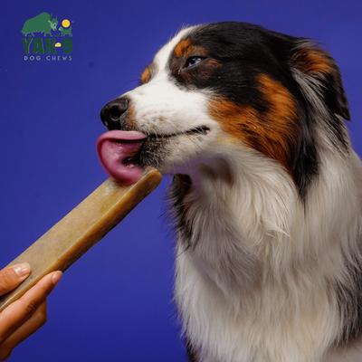 Show full view: Yak9 Chews Blueberry Yak Chew Dog Treat, Large, 1 count slide 3 of 10