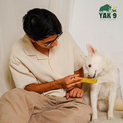 Show full view: Yak9 Chews Coconut Yak Chew Dog Treat, 1 count, Small slide 3 of 11