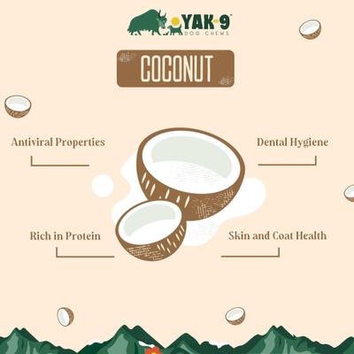Show full view: Yak9 Chews Coconut Yak Chew Dog Treats, 2 count, Large slide 4 of 11
