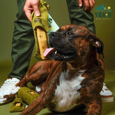 Show full view: Yak9 Chews CrunCheese Natural Flaxseed Flavored Crunchy Dog Treats, 0.37-lb bag slide 3 of 9