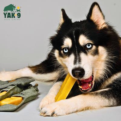 Show full view: Yak9 Chews CrunCheese Natural Yak & Cow Flavored Crunchy Dog Treats, 0.37-lb bag slide 3 of 9