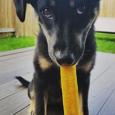 Show full view: Yak9 Chews Flaxseed Yak Chew Dog Treats, 5 count, X-Small slide 5 of 9