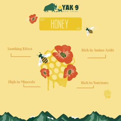 Show full view: Yak9 Chews Honey Yak Chew Dog Treat, 1 count, Medium slide 4 of 10