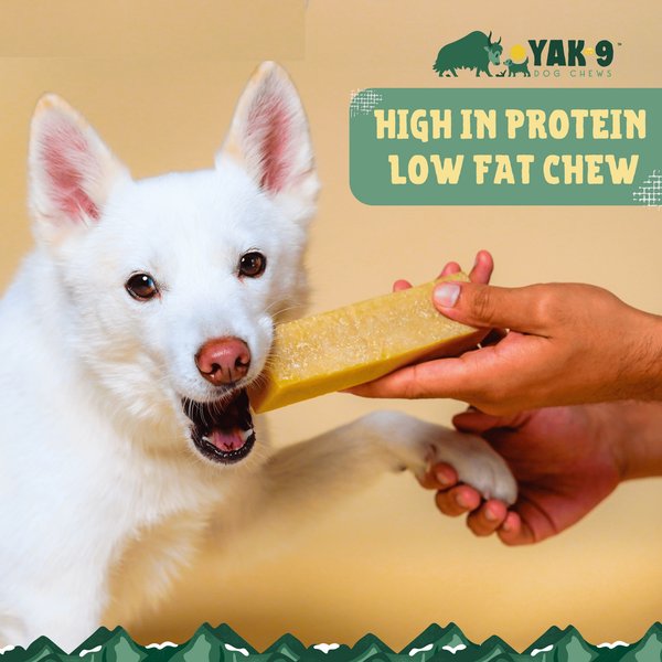 Yak9 Chews Pumpkin Yak Chew Dog Treat, Large