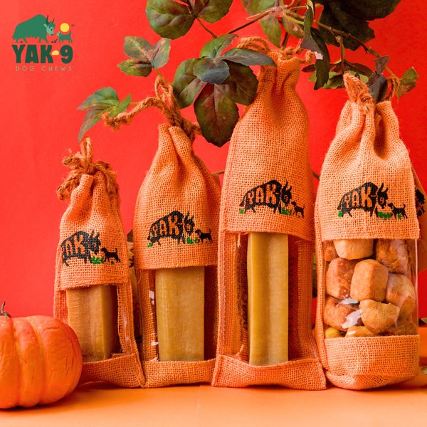 Yak9 Chews Pumpkin Yak Chew Dog Treat, Small