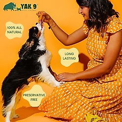 Yak9 Chews Turmeric Yak Chew Dog Treat, 1 count, Small slide 2 of 9