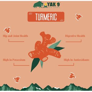 Yak9 Chews Turmeric Yak Chew Dog Treats, 2 count, Large
