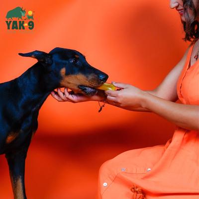 Show full view: Yak9 Chews Turmeric Yak Chew Dog Treats, 2 count, Large slide 3 of 11