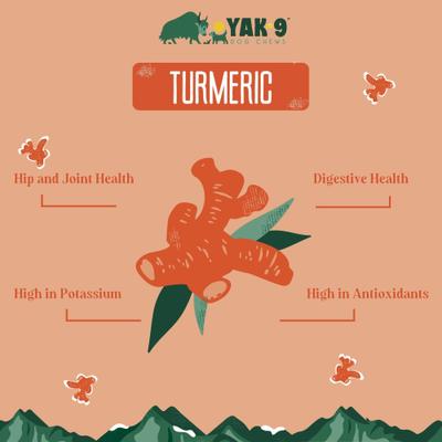 Show full view: Yak9 Chews Turmeric Yak Chew Dog Treats, 5 count, X-Small slide 4 of 10