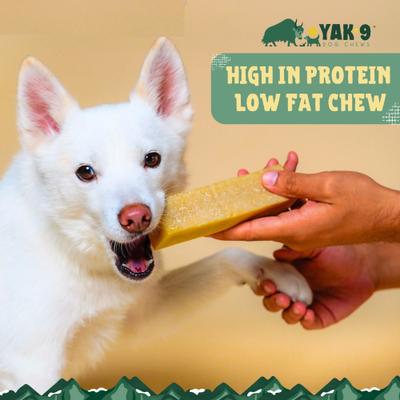 Show full view: Yak9 Chews Yak & Cow Milk Chew Dog Treat, 1 count, Small slide 7 of 11