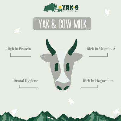 Show full view: Yak9 Chews Yak & Cow Milk Chew Dog Treat, 1 count, Small slide 4 of 11