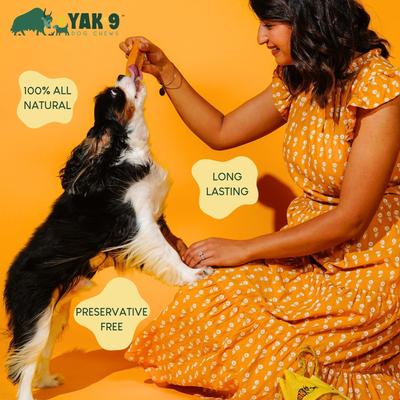 Show full view: Yak9 Chews Yak & Cow Milk Chew Dog Treats, 4 count, Small slide 9 of 11