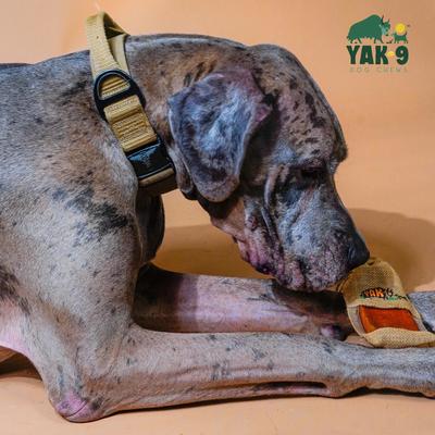 Show full view: Yak9 Chews Yak Milk Chew Dog Treats, 3 count, Medium slide 3 of 11