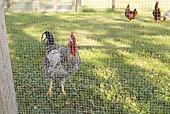 YardGard Hardware Cloth 23-Gauge 0.25" Mesh Fence, 36-in x 10-ft roll slide 2 of 8