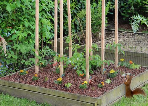 Show full view: YardGard Hardware Cloth PVC 19-Gauge 0.5" Mesh Fence, 36-in x 5-ft roll slide 6 of 6