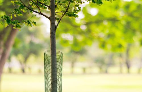 Show full view: YardGard Hardware Cloth PVC 19-Gauge 0.5" Mesh Fence, 36-in x 5-ft roll slide 5 of 6