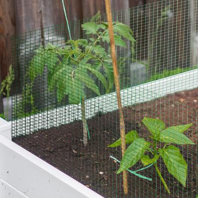 Show full view: YardGard Hardware Cloth PVC 19-Gauge 0.5" Mesh Fence, 36-in x 5-ft roll slide 3 of 6