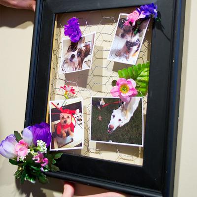 Show full view: YardGard Poultry Netting Galvanized 1" Mesh Poultry Fence, 12-in x 150-ft roll slide 7 of 8