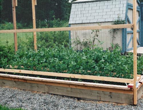 Show full view: YardGard Poultry Netting Galvanized 1" Mesh Poultry Fence, 18-in x 150-ft roll slide 5 of 8